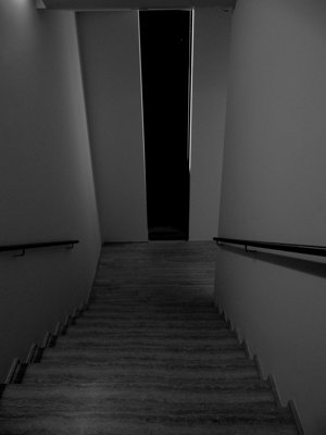 Descente obscure_4479453294_l.jpg